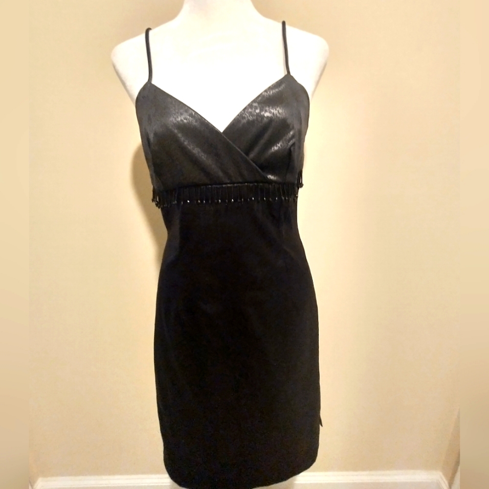 Vintage La Belle Black  Snakeskin Dress With Fringe Trim At Bodice